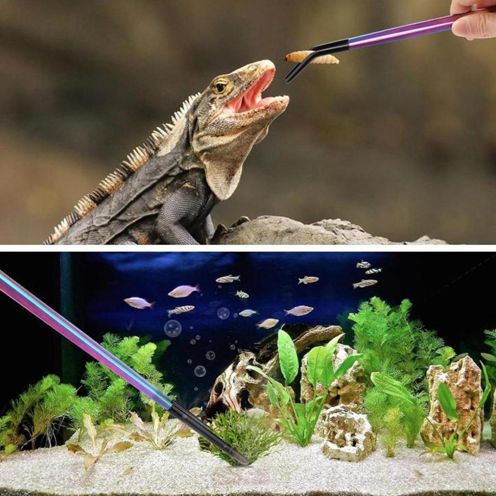 Feeding Tong Stainless - Terrarium Reptile Feeder Tongs Stainless Steel