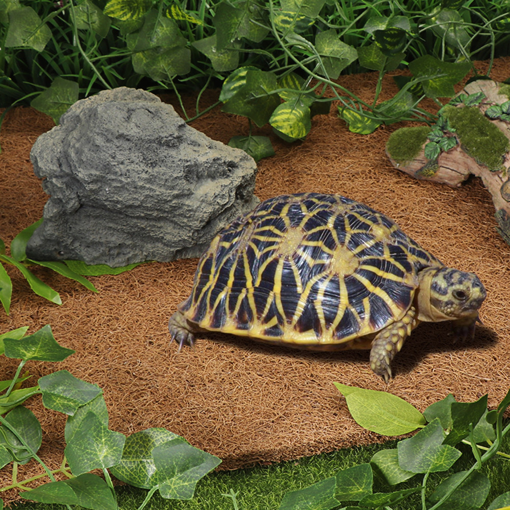Substrate Coconut Fiber - Coconut Fiber Reptile Mat Non-Toxic Terrarium