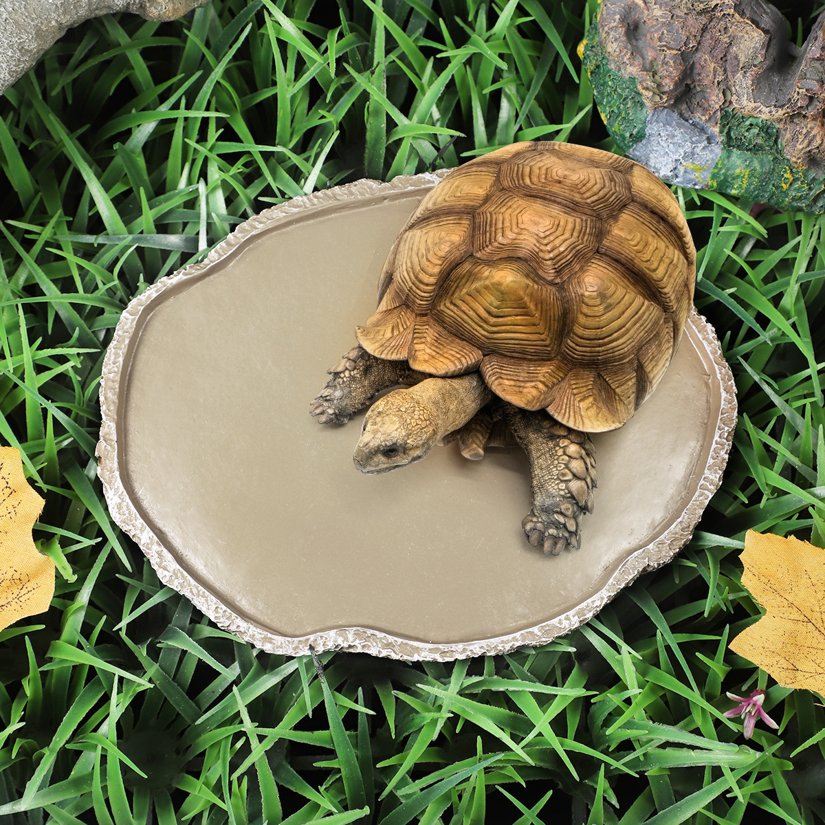 Water Dish Reptile - Pets Feeding Plate Reptile Feeding Bowl