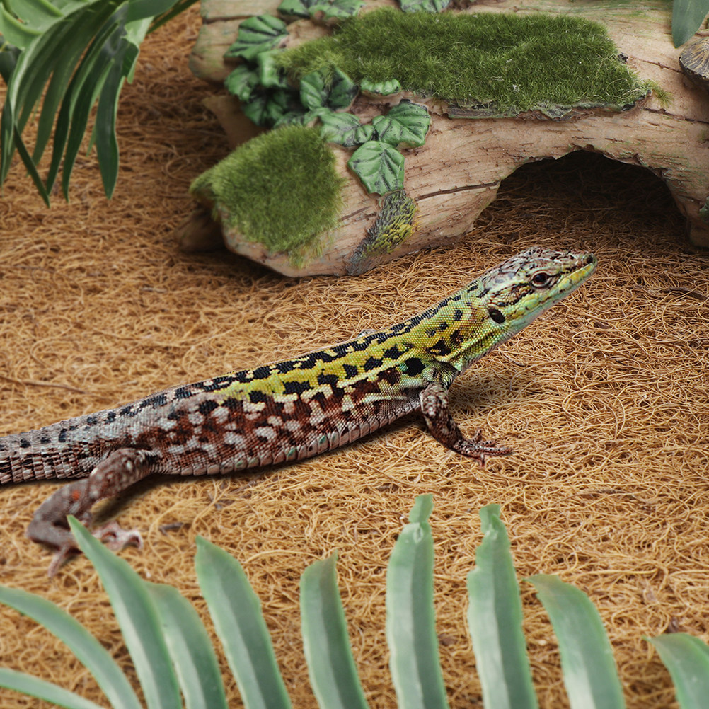 Substrate Coconut Fiber - Reptile Terrarium Bedding Substrate Liner Tank
