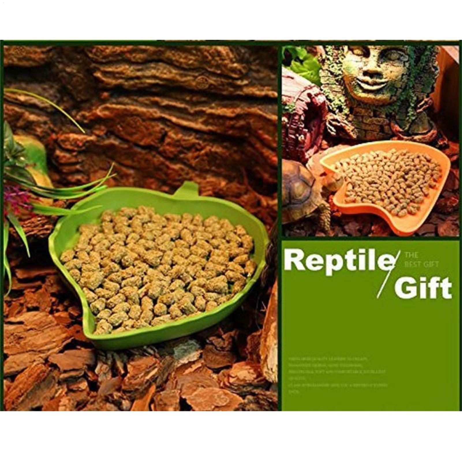 Turtle Feeding Bowl Reptile Fe - Water Dish Reptile review and price