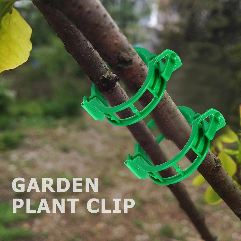 Reusable Plastic Plant Support - Vine Climbing Plastic review and price