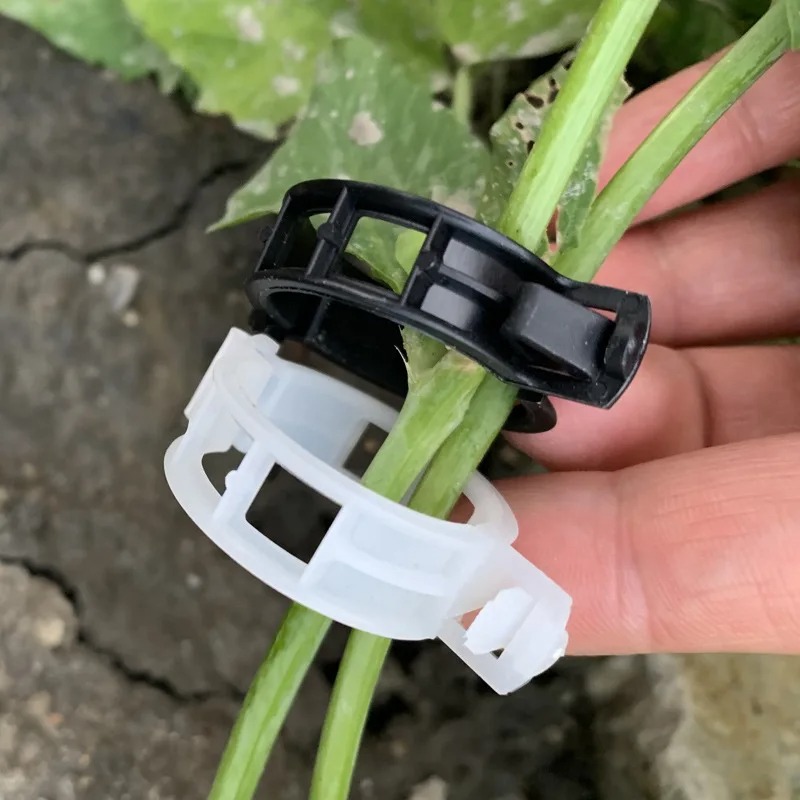Reusable Plastic Plant Support - Vine Climbing Plastic review and price