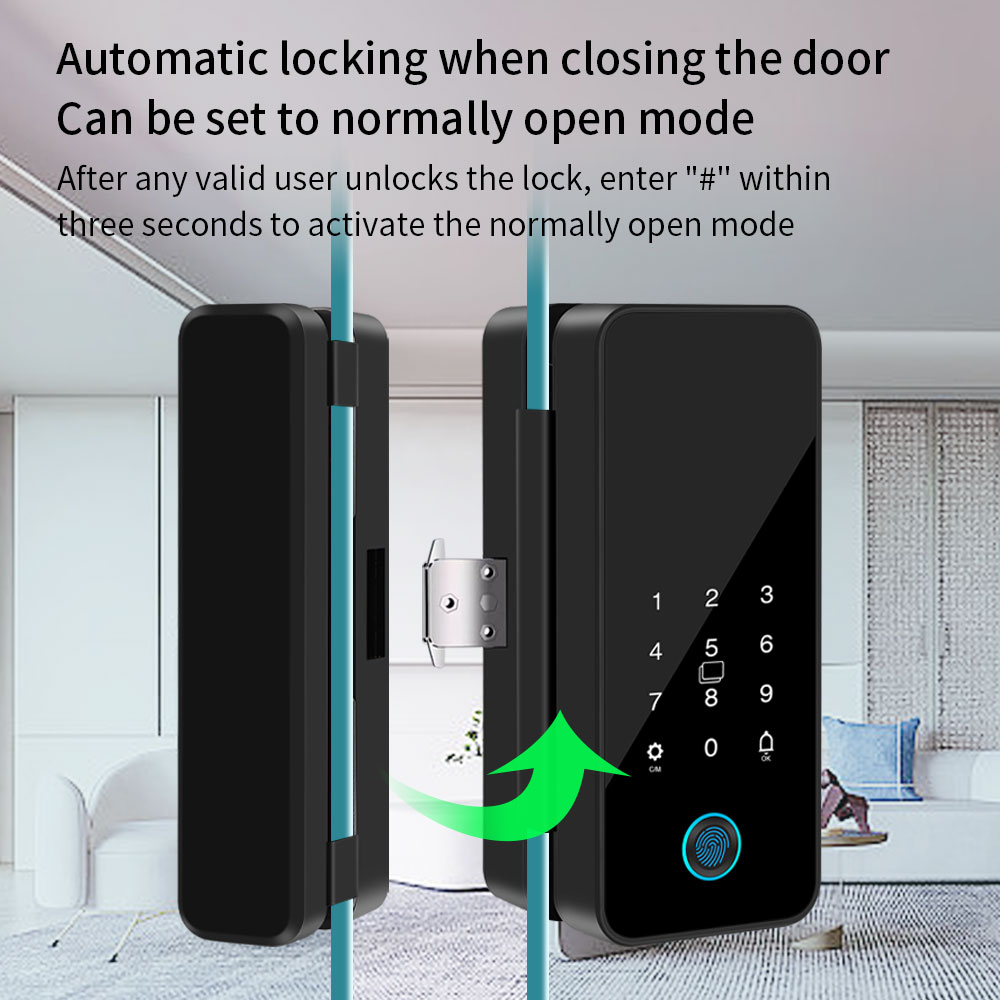 B16 Tuya APP Bluetooth Glass D - Glass Door Hinge review and price