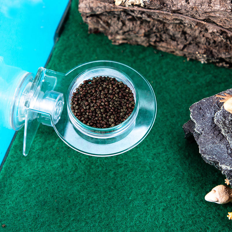 Acrylic Crawling Pet Feeding W - Water Dish Reptile review and price
