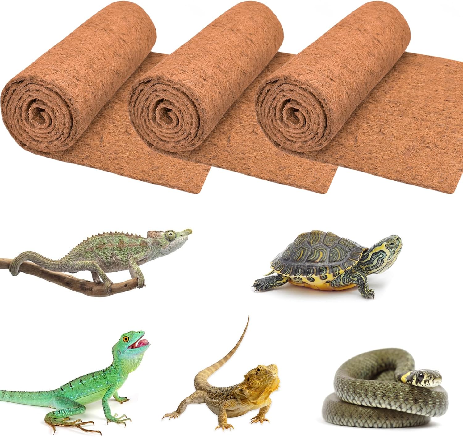 3 Rolls Reptile Carpet, 24x48i - Substrate Coconut Fiber review and price