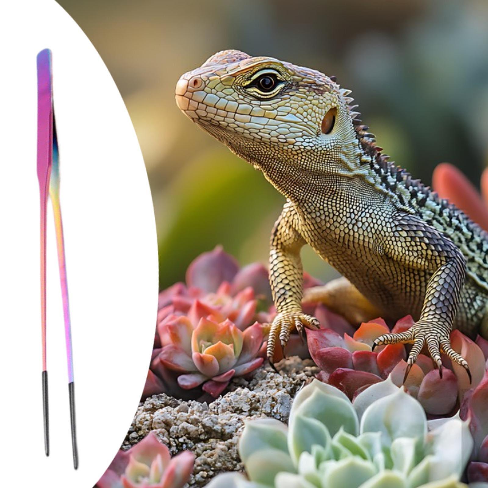 Terrarium Reptile Feeder Tongs - Feeding Tong Stainless review and price