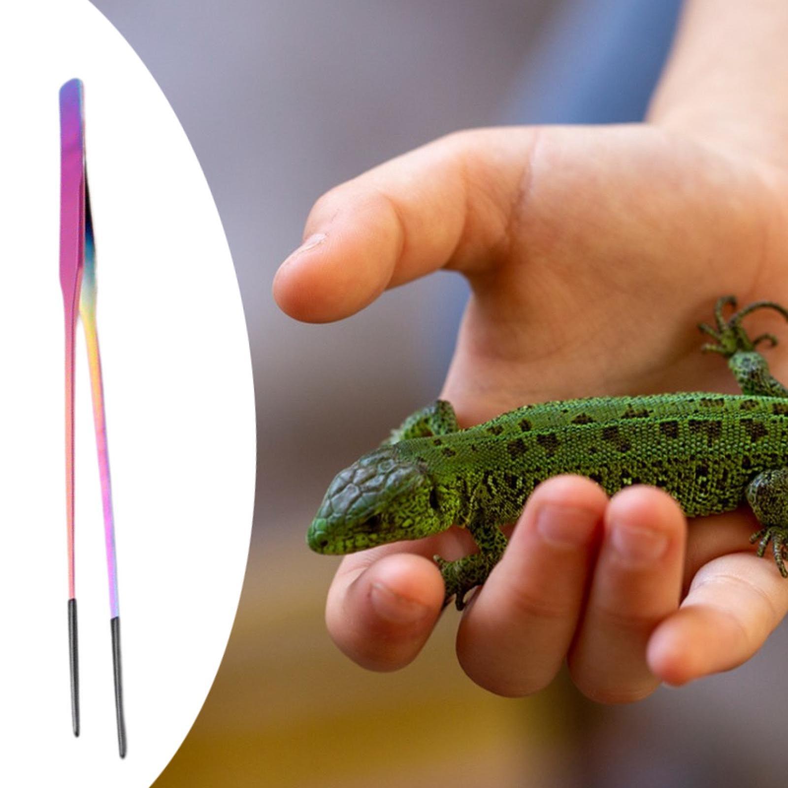 Aquarium Tweezers Reptile Feed - Feeding Tong Stainless review and price