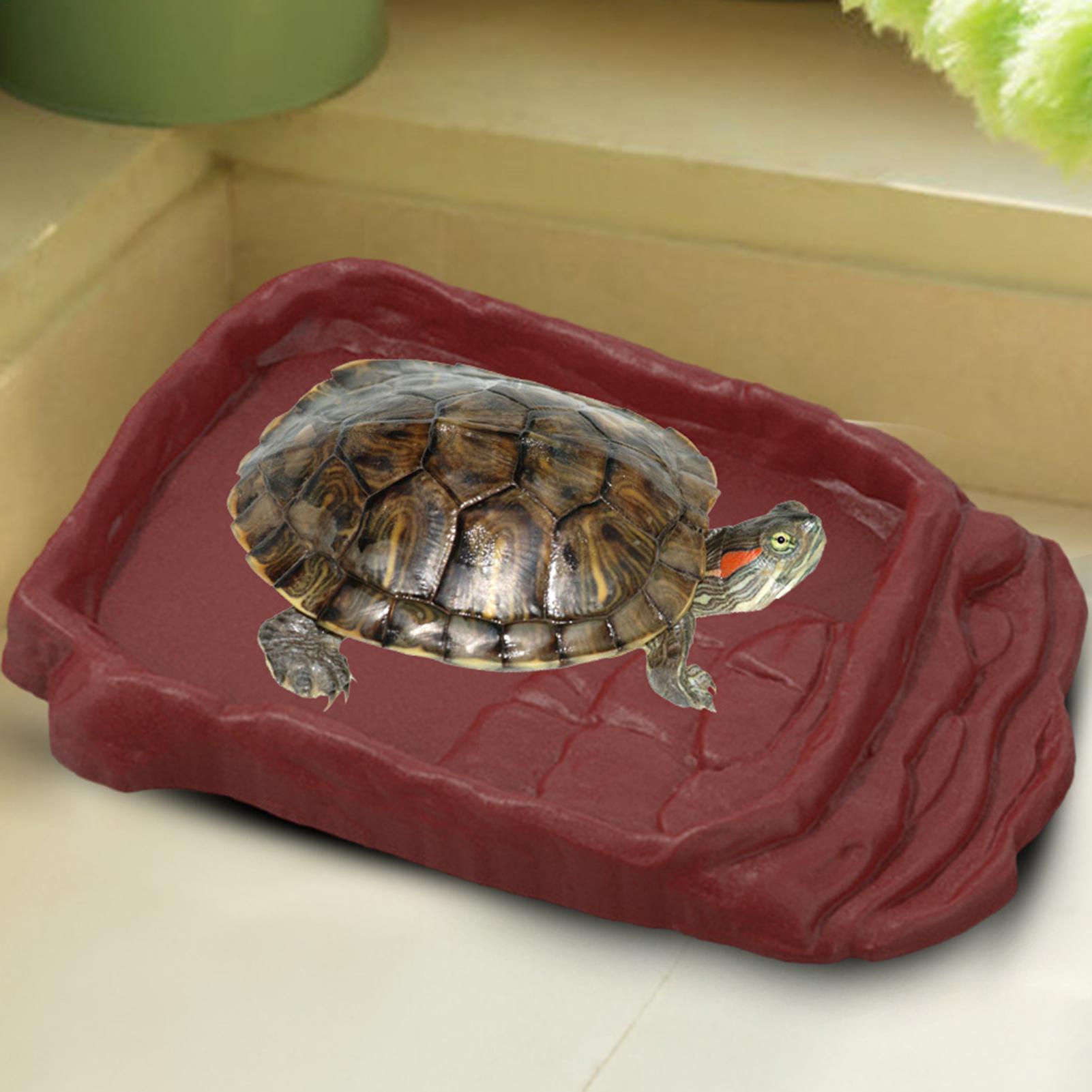Turtle Water Dish With Anti-Sl - Water Dish Reptile review and price