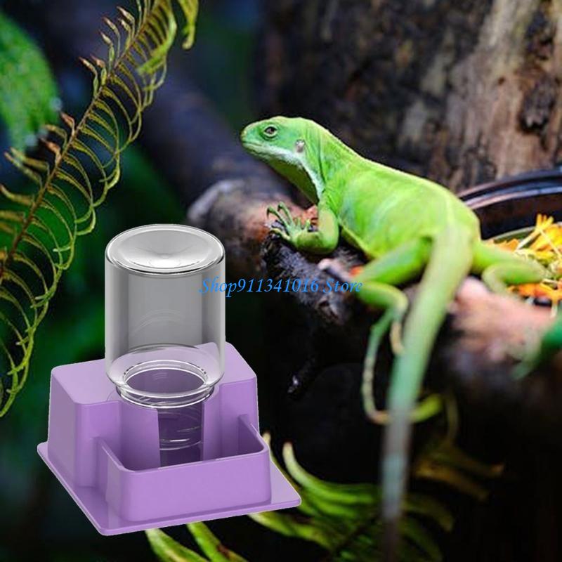  Multifunctional Reptiles Drin - Water Dish Reptile review and price