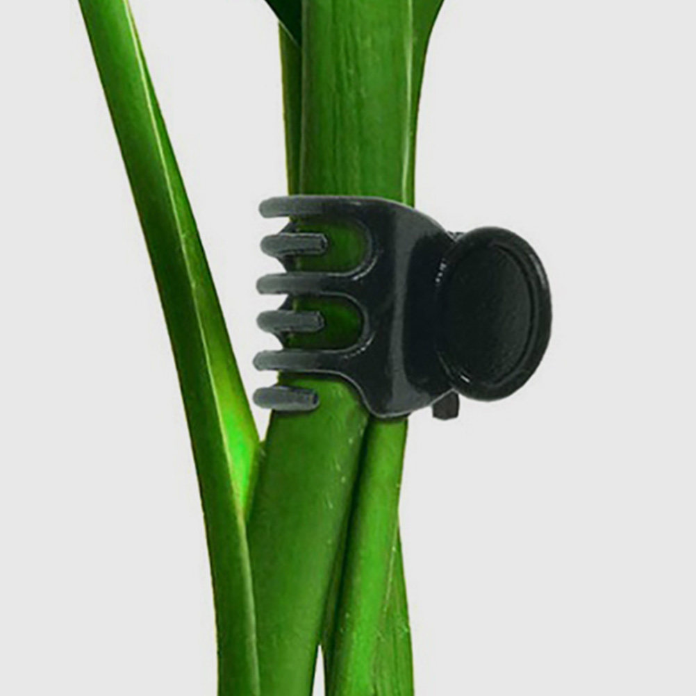 60Pcs Plant Support Clamps Pla - Vine Climbing Plastic review and price