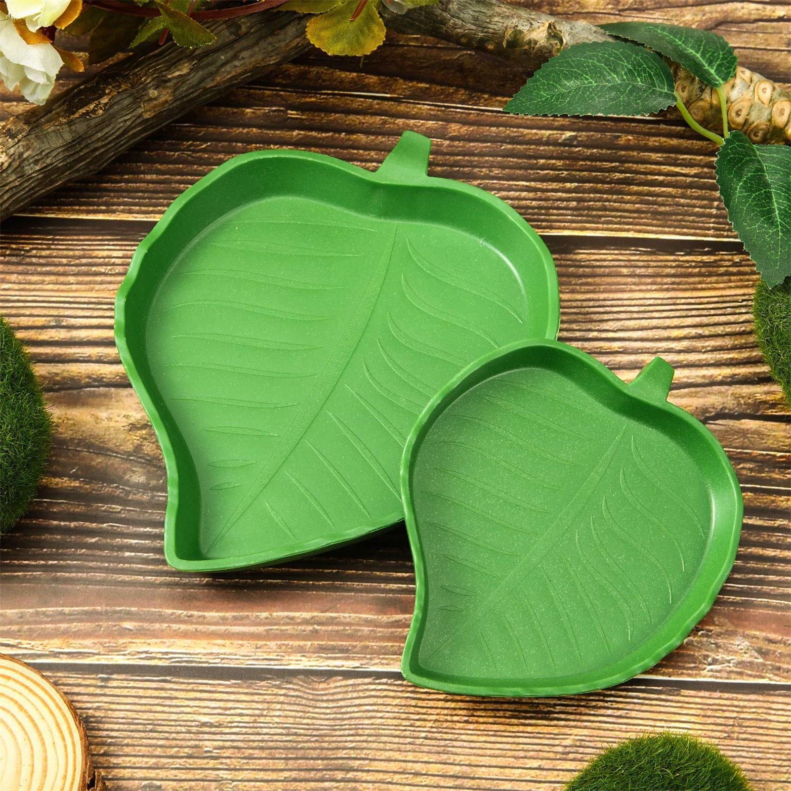1pc Reptile Dish Flat Drinking - Water Dish Reptile review and price