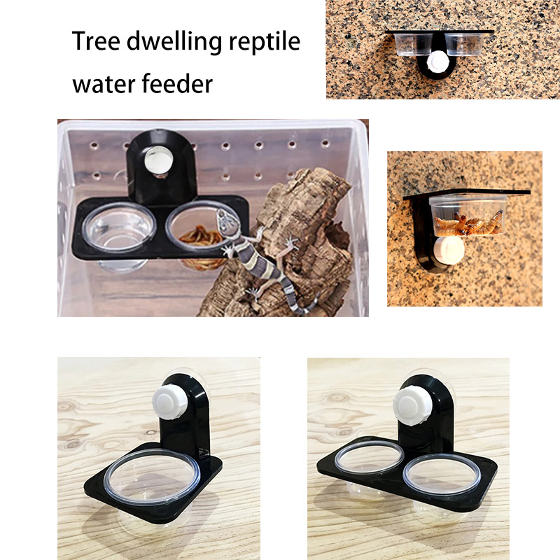 Reptile Tank Accessories Insec - Water Dish Reptile review and price
