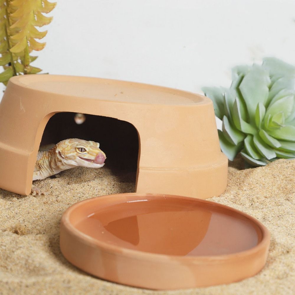 Multifunctional Ceramics Repti - Hide Cave Ceramic review and price