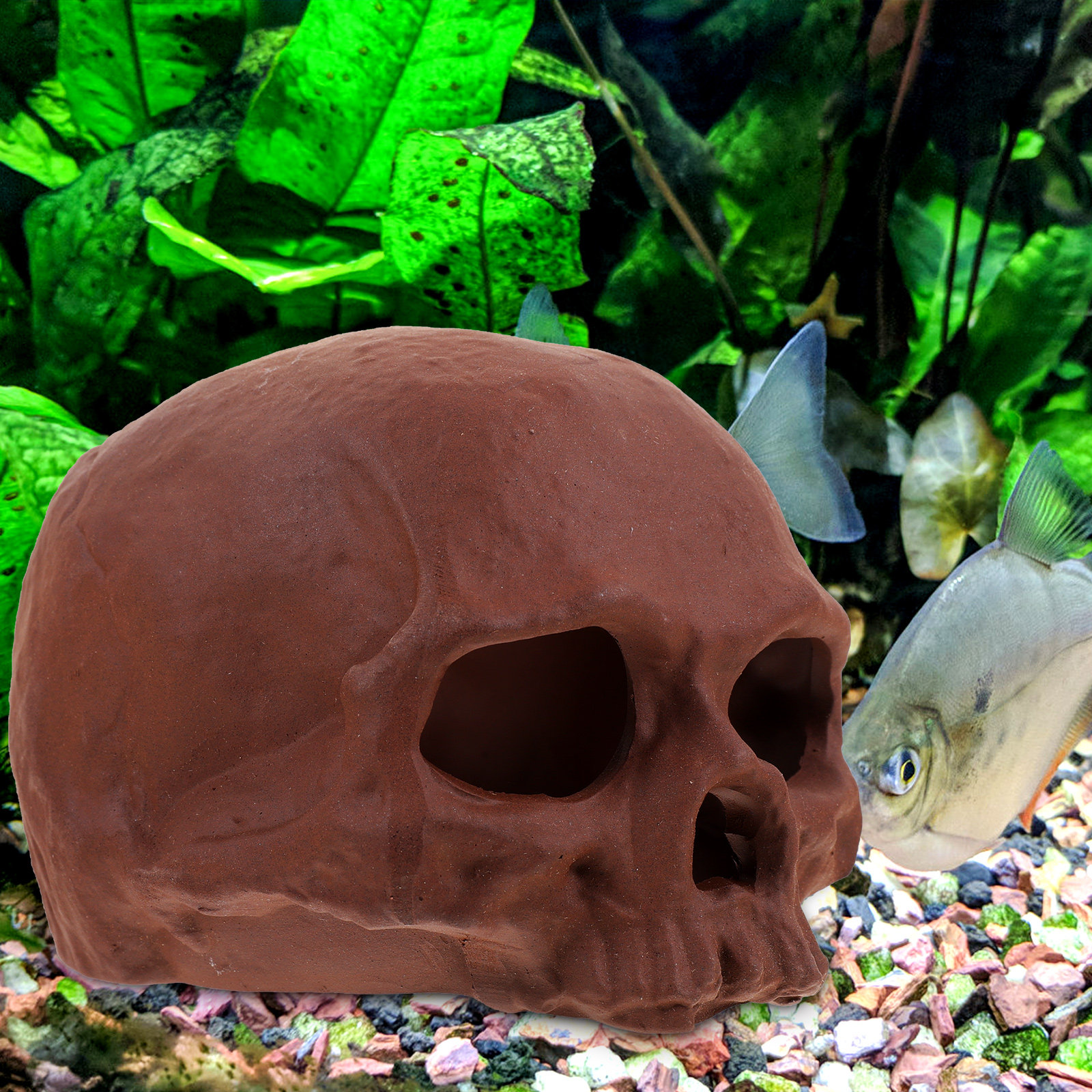 Ceramic Fish Cave Shrimp Hide  - Hide Cave Ceramic review and price