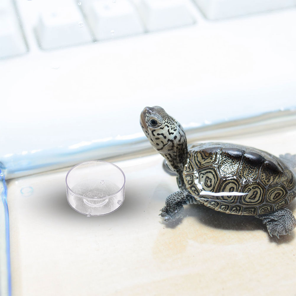 10Pcs Acrylic Reptile Food Dis - Water Dish Reptile review and price