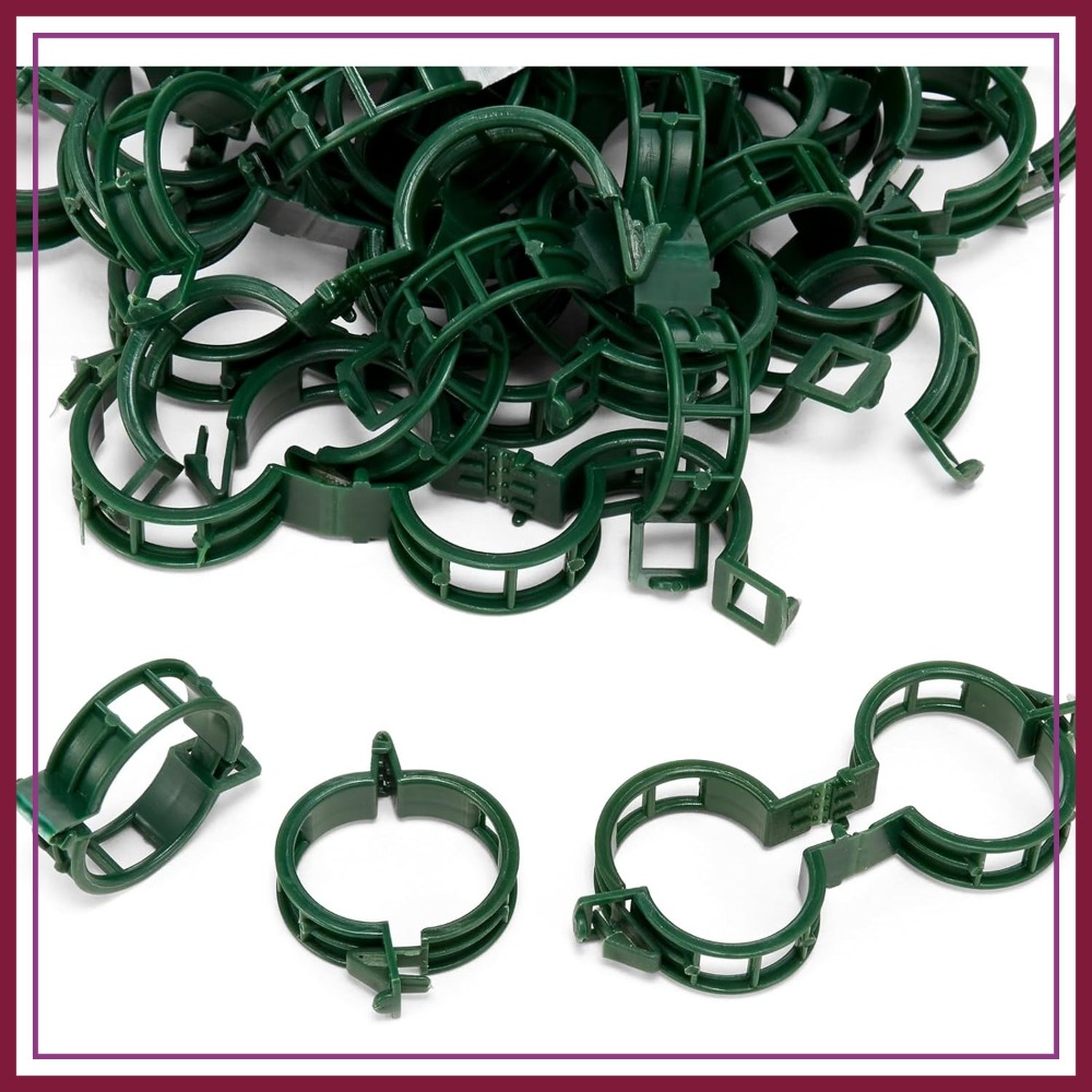 100 Pcs Plant Support Clips fo - Vine Climbing Plastic review and price