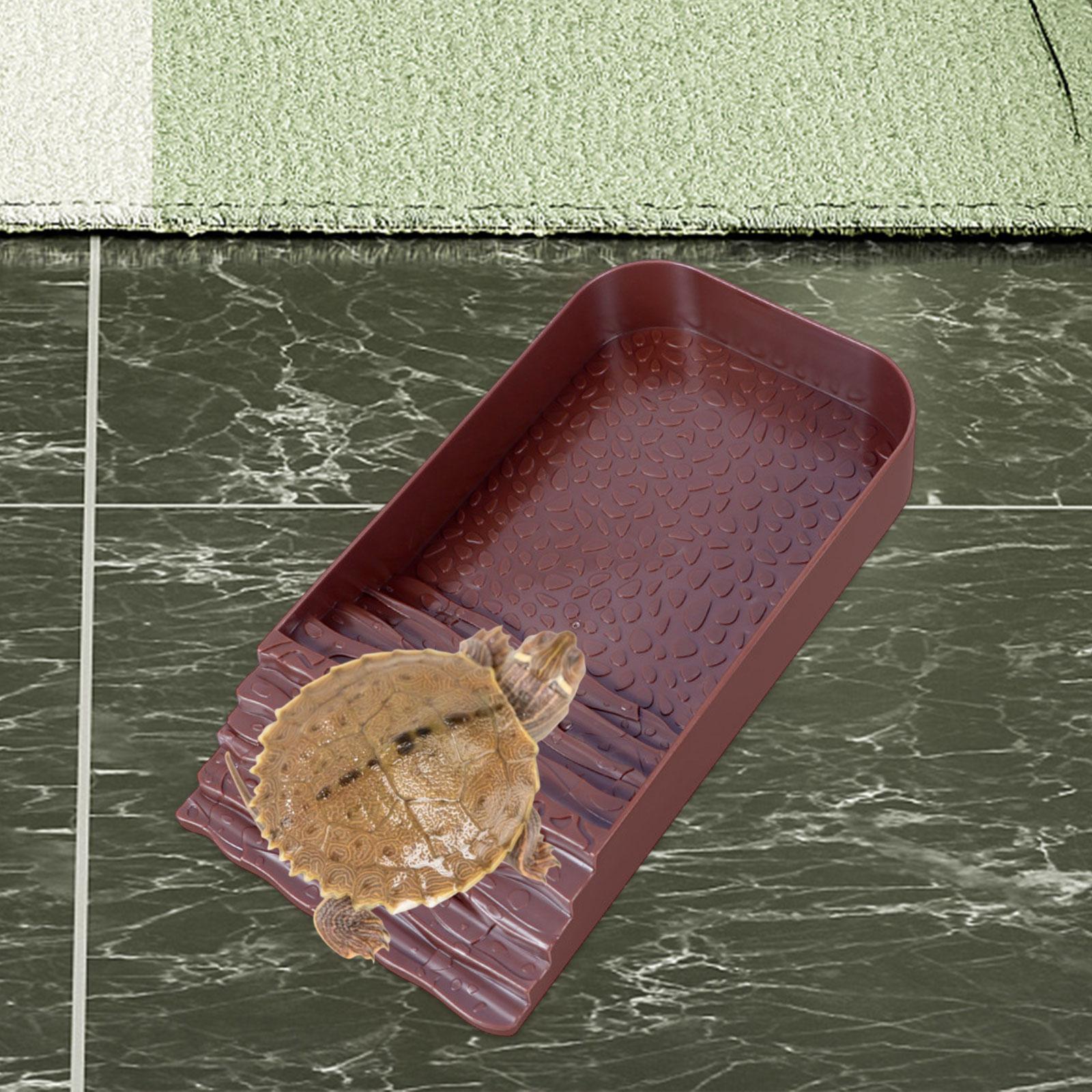 Reptile Water Bowl Accessories - Water Dish Reptile review and price