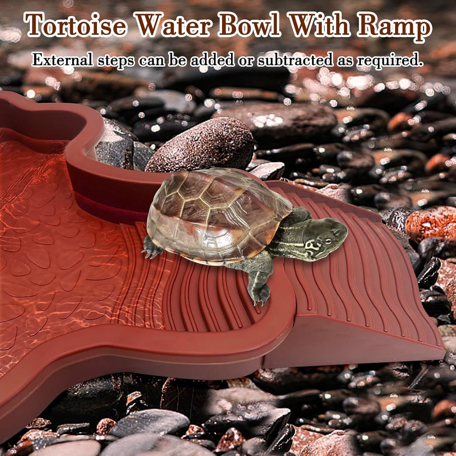 Reptile Bathing Pool with Ramp - Water Dish Reptile review and price