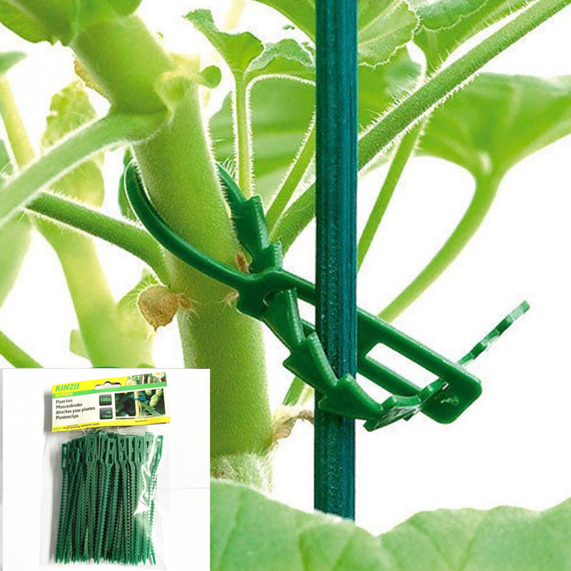 13cm Adjustable Plastic Plant  - Vine Climbing Plastic review and price