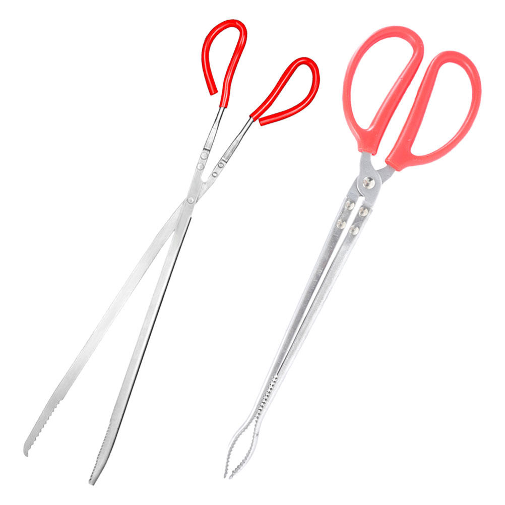2Pcs Stainless Steel Snake Ton - Feeding Tong Stainless review and price